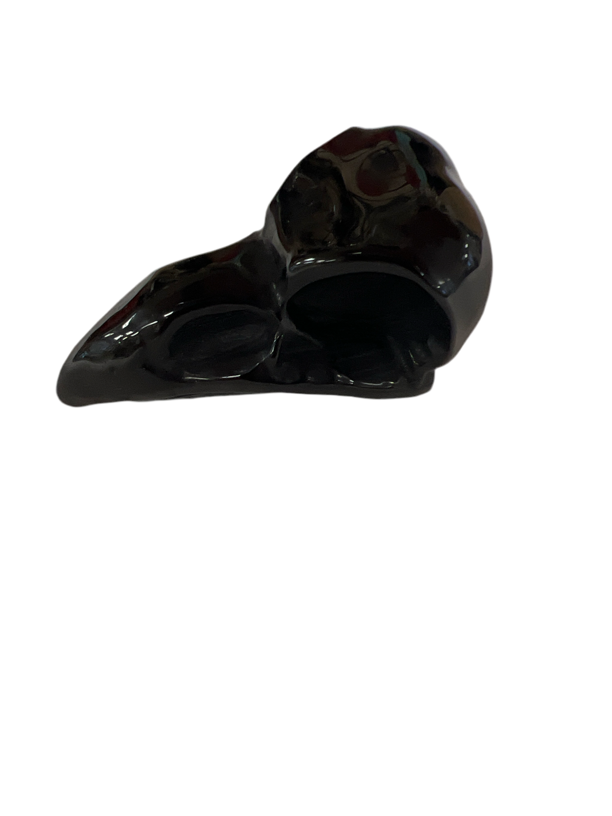 Obsidian Crow Skull