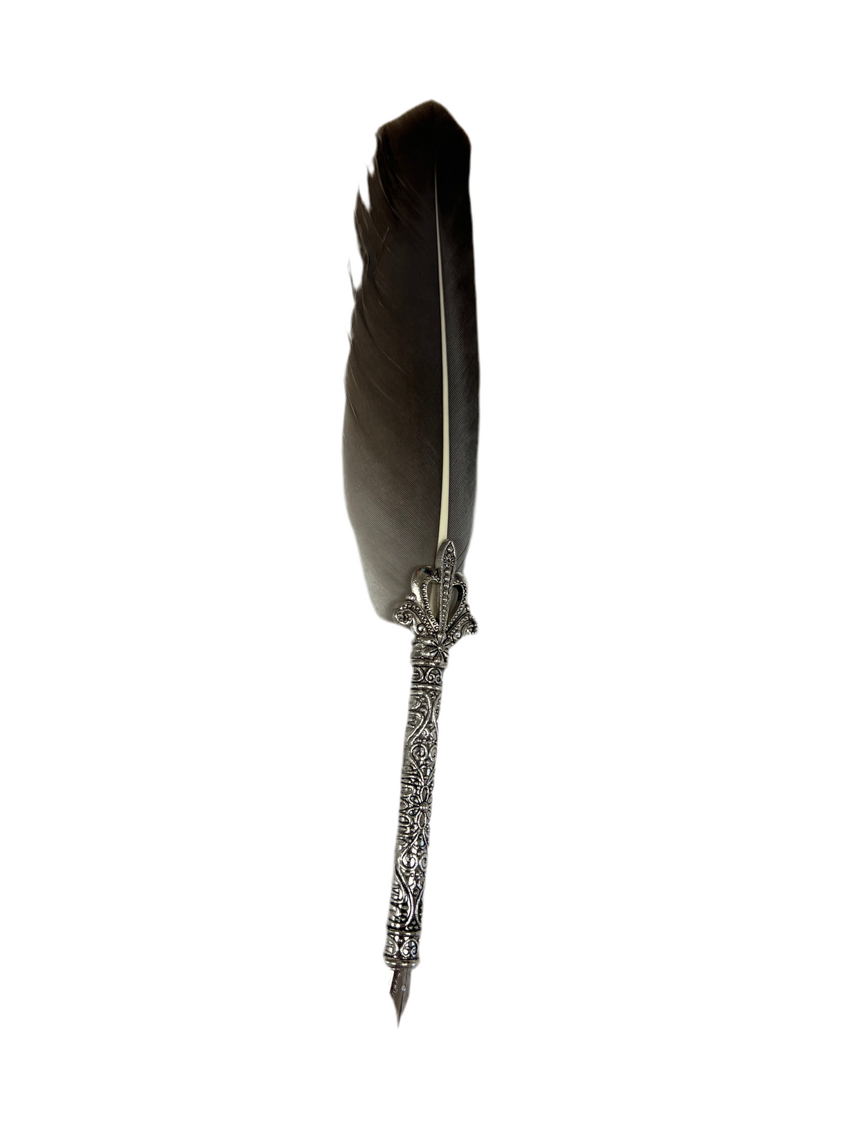 Gray Feather Dip Pen with 5 Nibs
