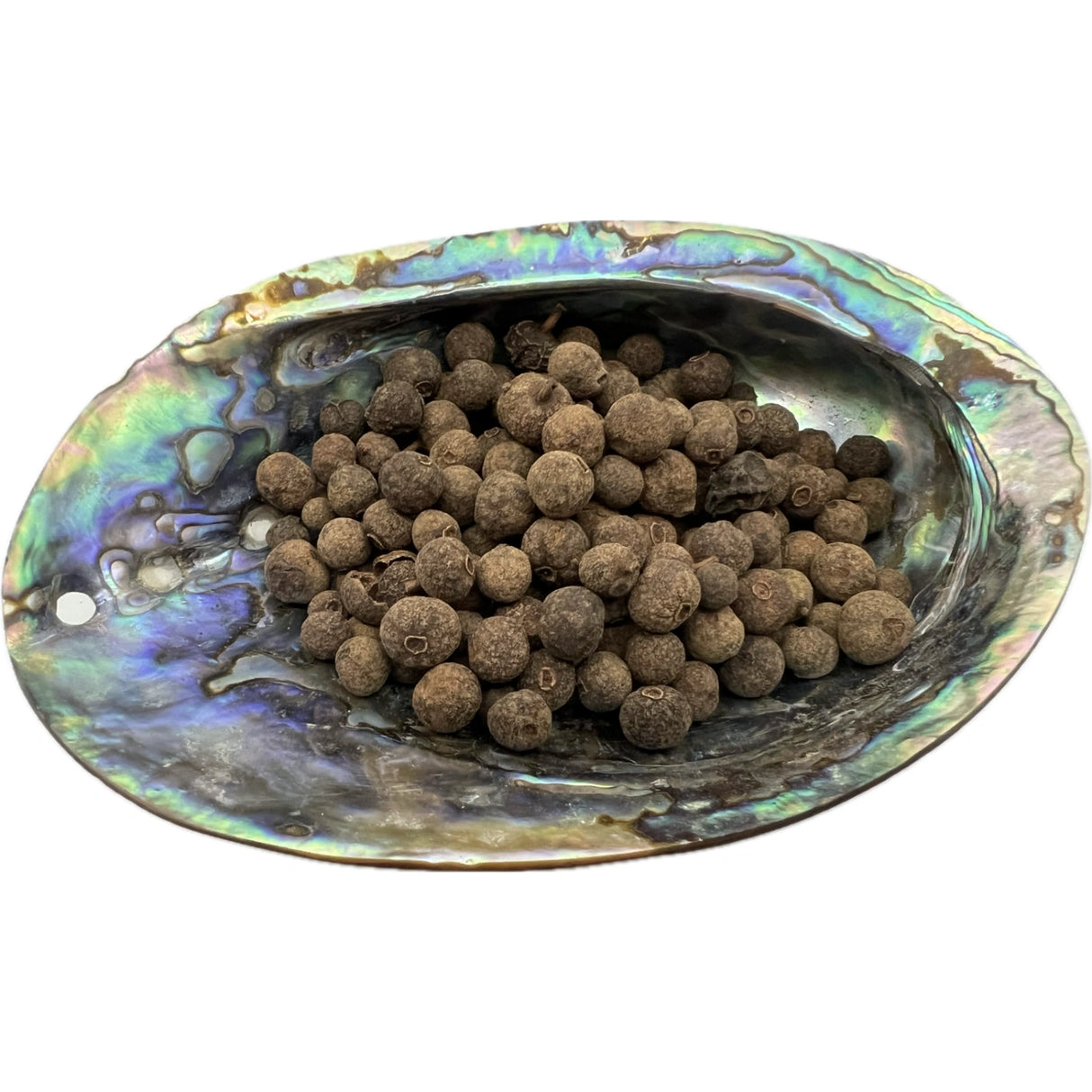 Dried Allspice in an abalone shell.