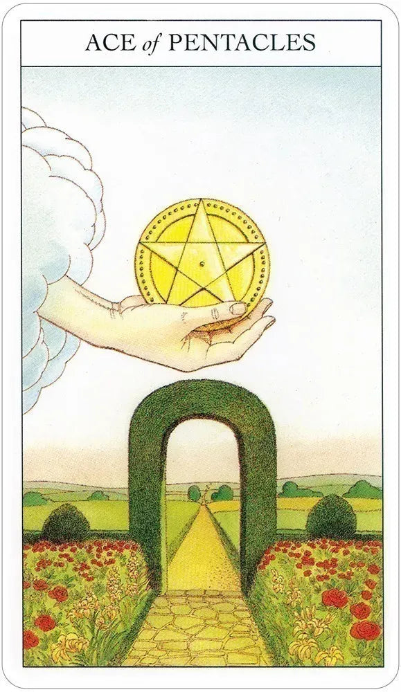 Beginners Guide to Tarot - Ace of Pentacles