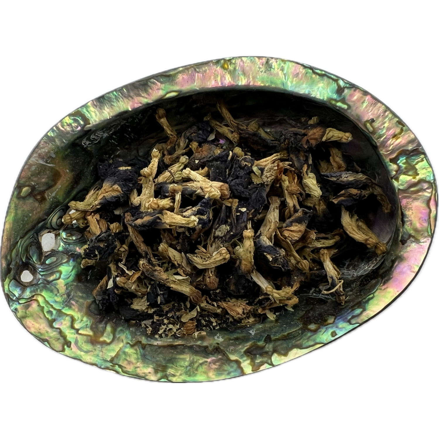 Butterfly Pea Flower - Butterfly Pea Flower herb placed on a colorful shell bowl