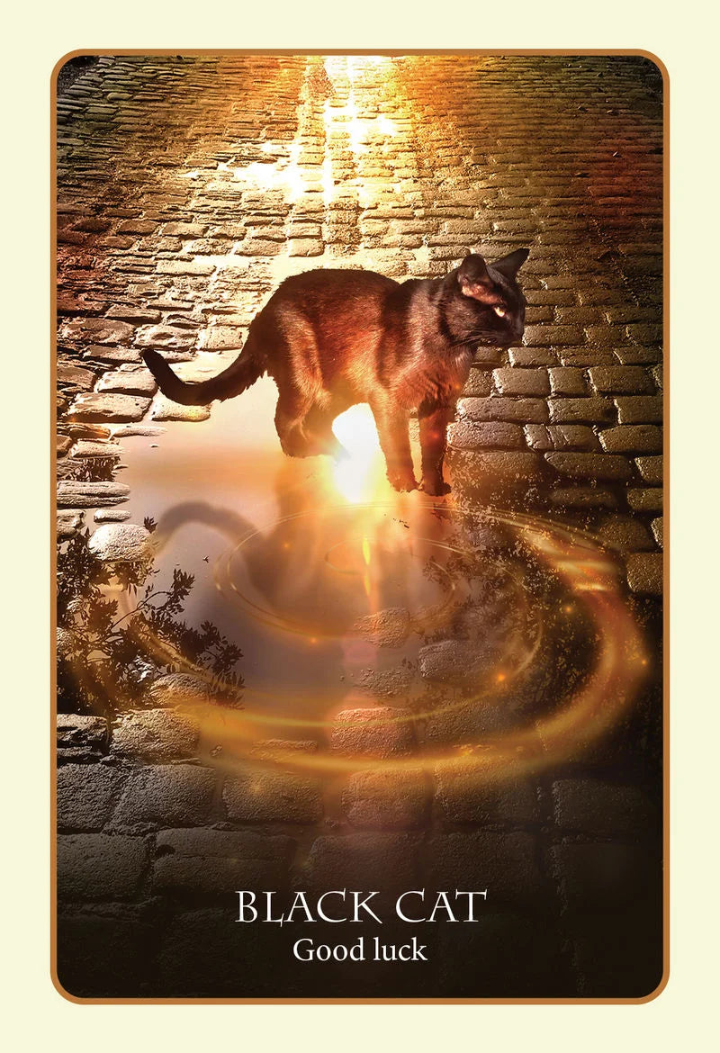Divination of the Ancients Oracle Deck