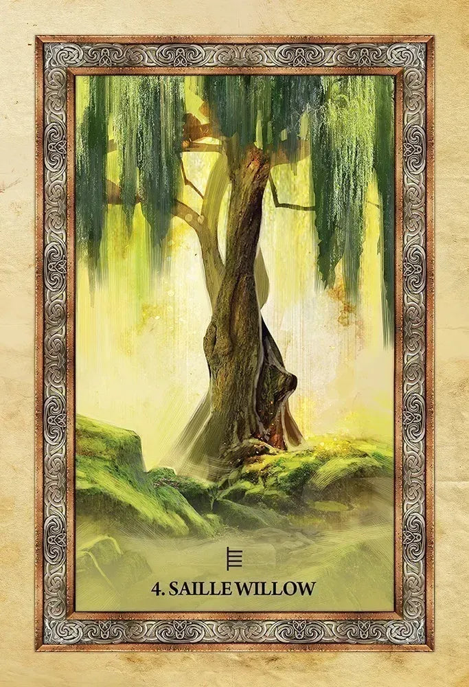 Celtic Tree Oracle Deck - 4