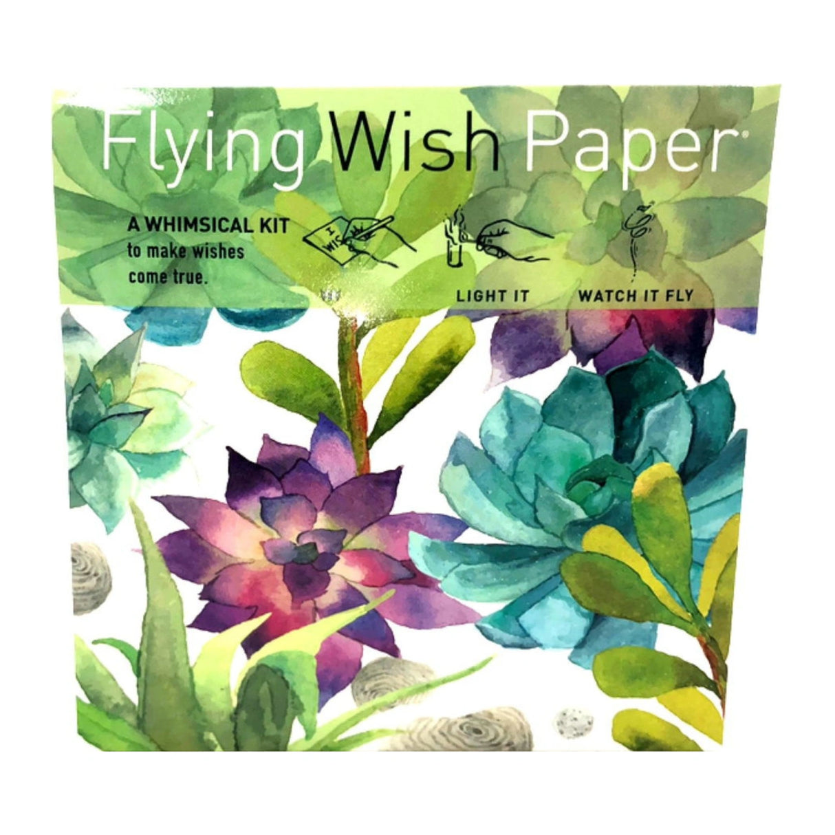 Flying Wish Paper kit with cactus garden illustration.