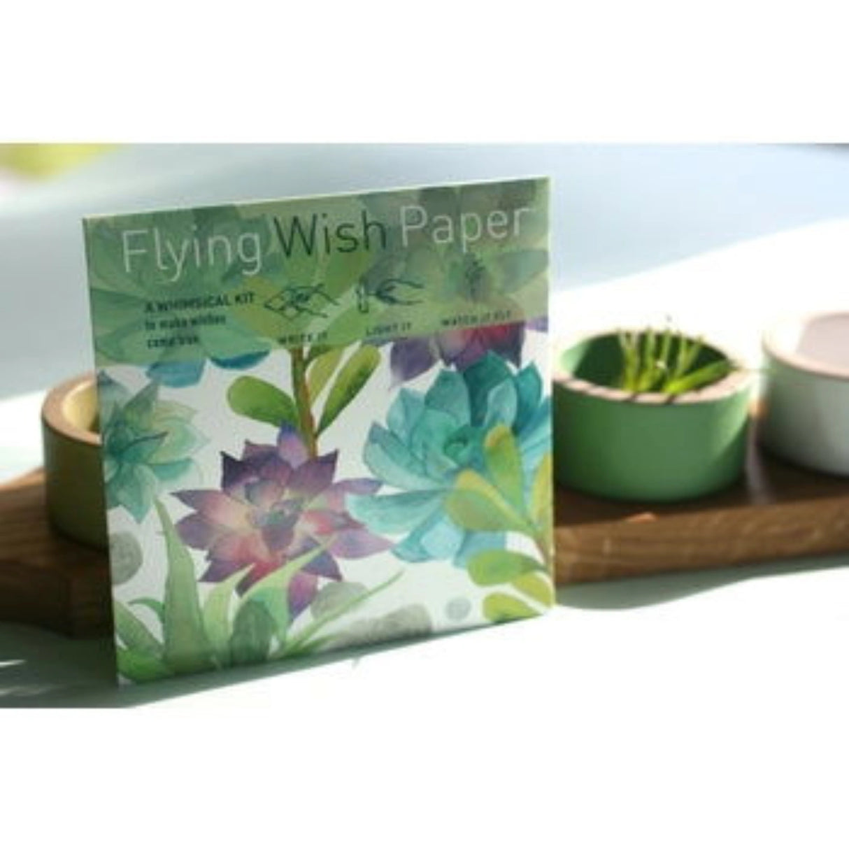 Cactus Garden Flying Wish Paper