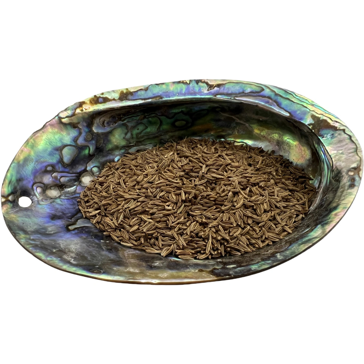 Dried Caraway Seed in an abalone shell.