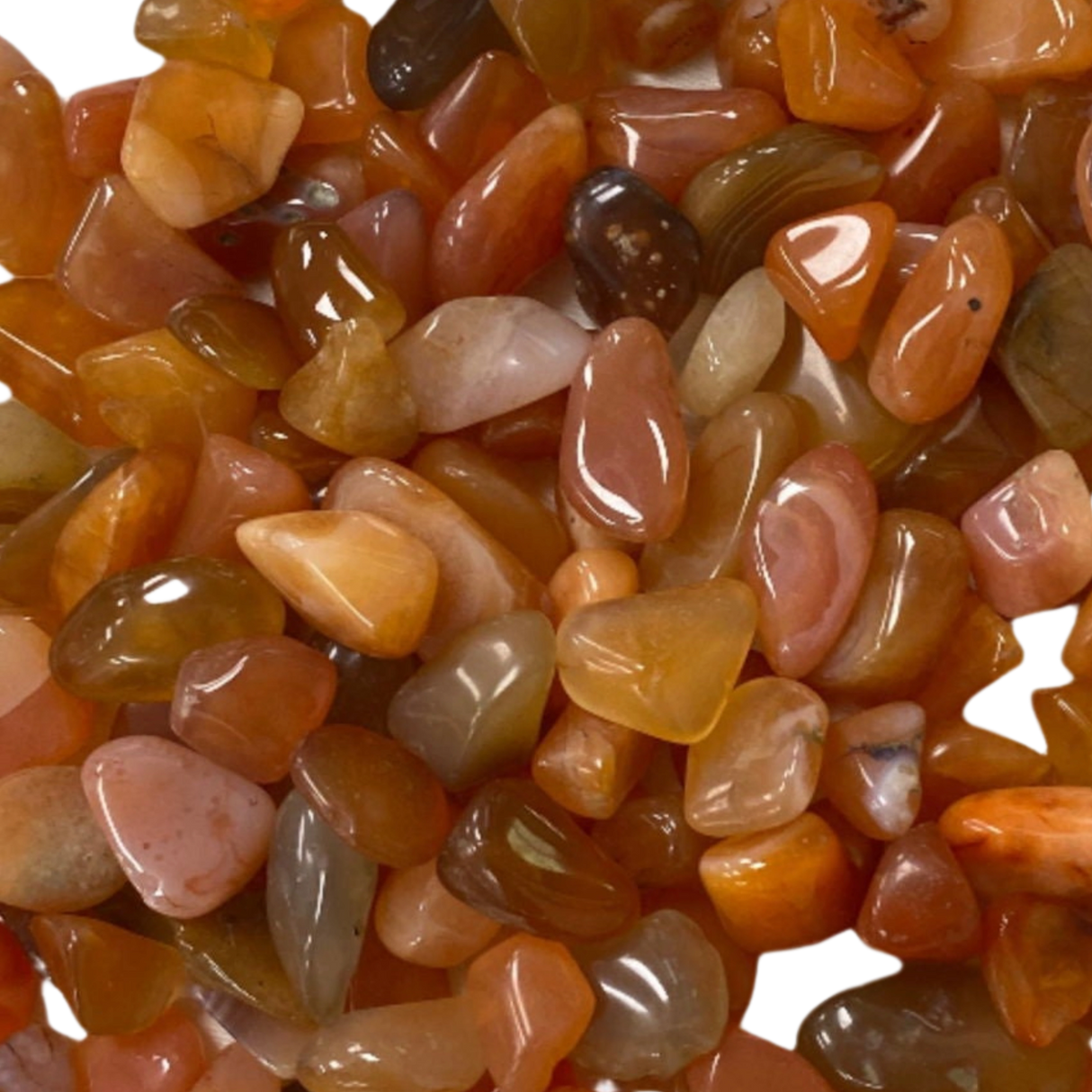 Carnelian Tumbled sm - #original_alt_text#