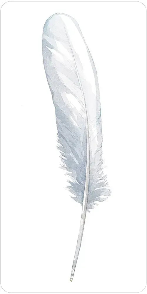 Divine Feather Messenger Oracle - White Feather