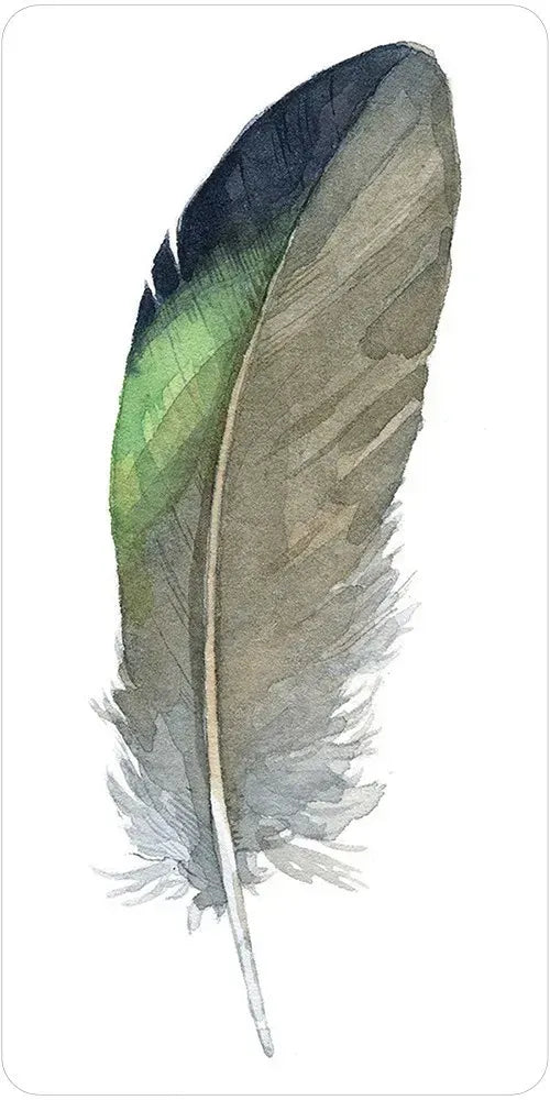 Divine Feather Messenger Oracle - Tri Colored Feather