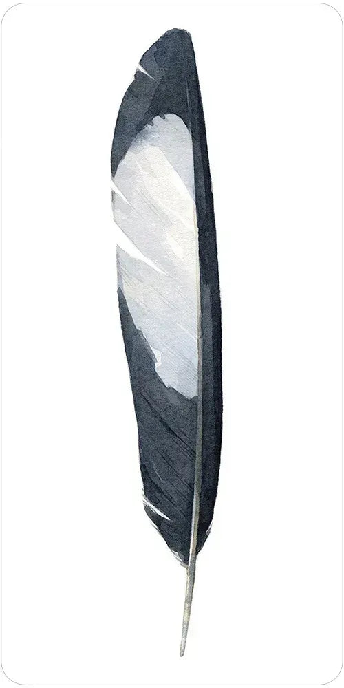 Divine Feather Messenger Oracle - Black and White Feather
