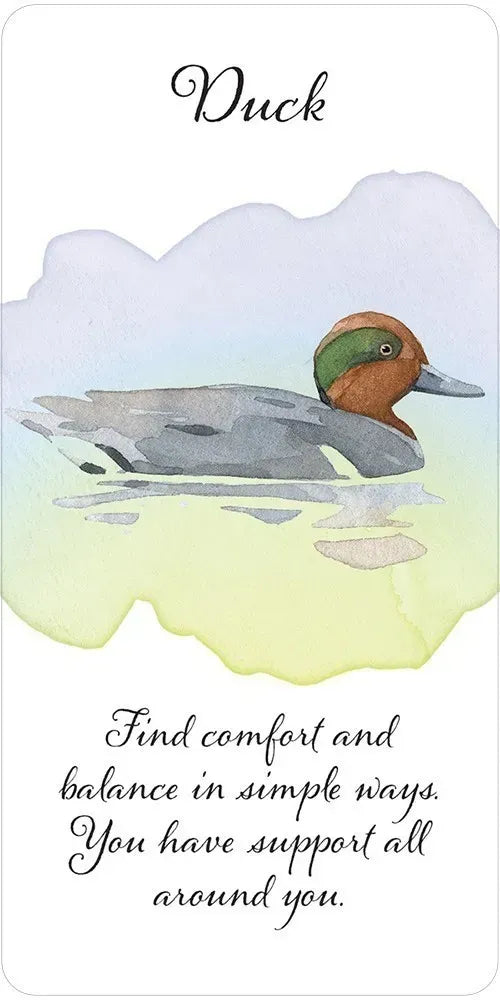 Divine Feather Messenger Oracle - Duck