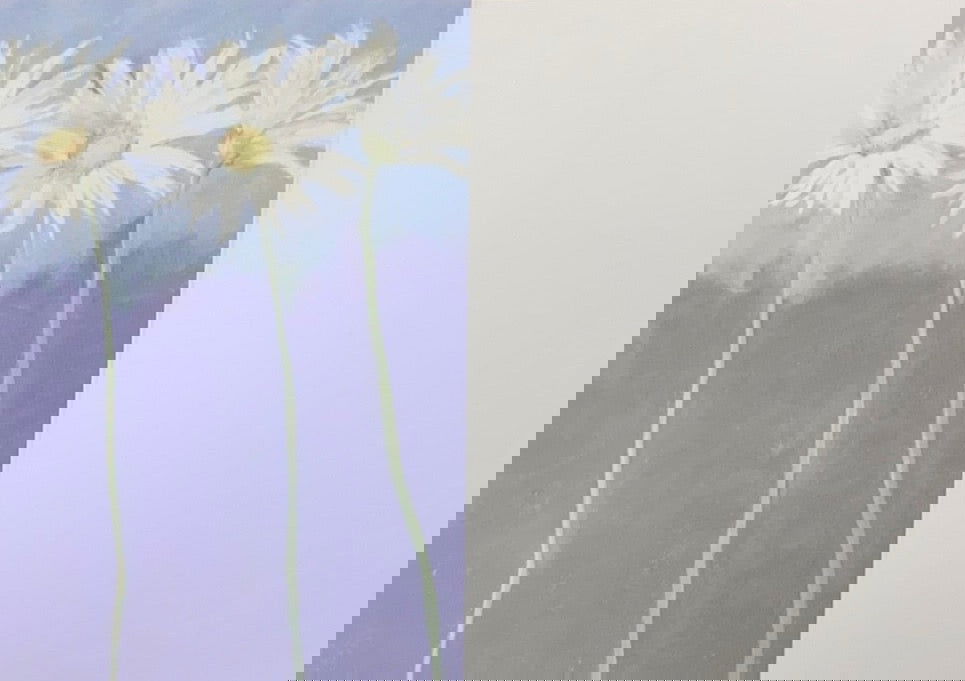 Daisies on Blue Greeting Card - Blank card with same blue and daisies on left side