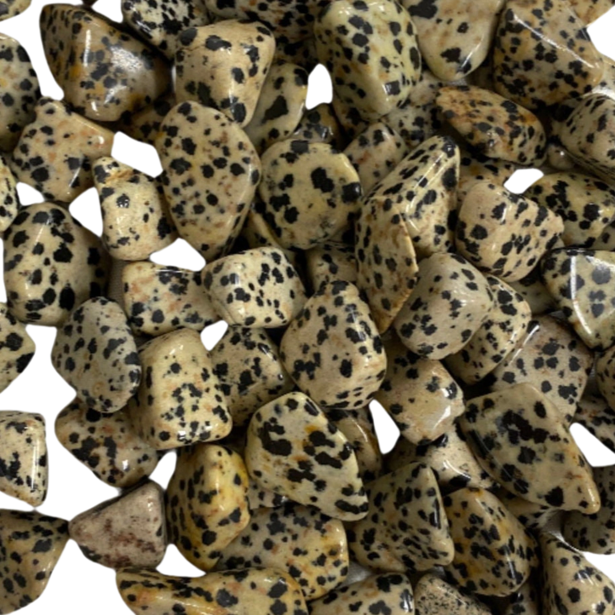 Dalmatian Jasper Tumbled