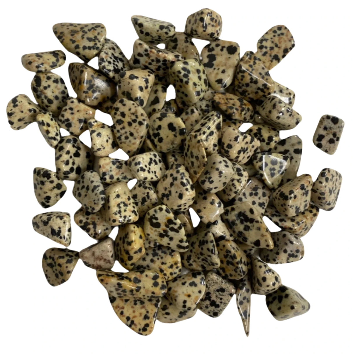Tumbled Dalmatian Jasper stones with a smooth, polished finish and a distinctive spotted pattern in shades of brown and black.