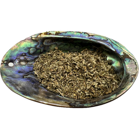 Dried Damiana Leaf in an abalone shell.