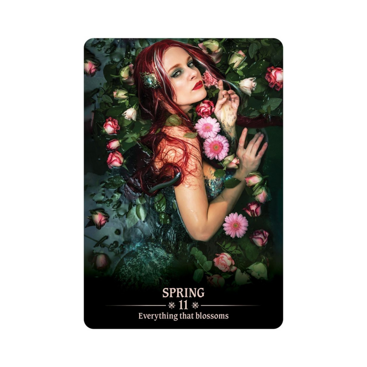 Dark Light Oracle Deck - Dark Light Oracle card - 11 - Spring