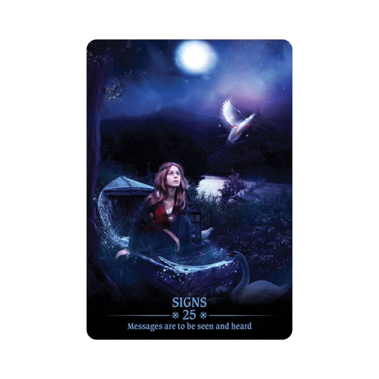 Dark Light Oracle Deck - Dark Light Oracle card - 25 - Signs