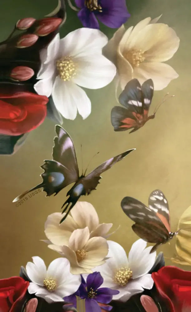 Elle Qui Oracle - Back of Card