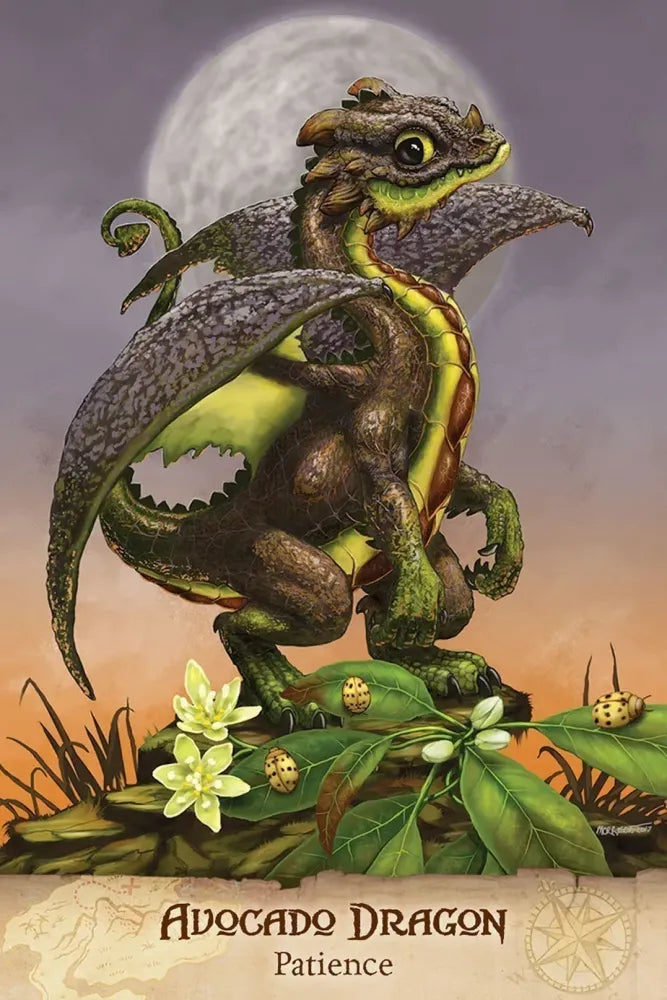 Field Guide To Garden Dragons - Patience