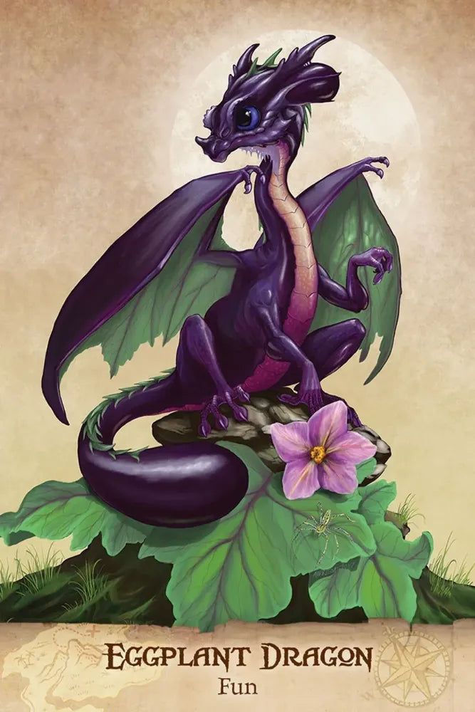 Field Guide To Garden Dragons - Fun