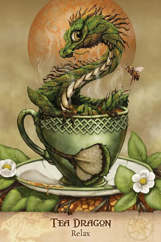 Field Guide To Garden Dragons - Relax