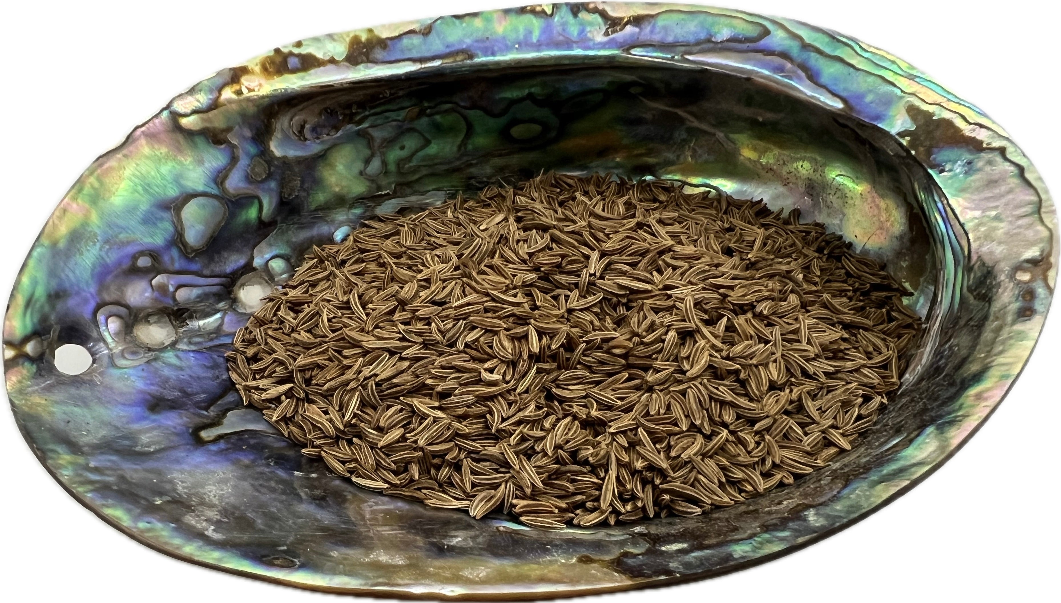 shell bowl filled with brown seeds 