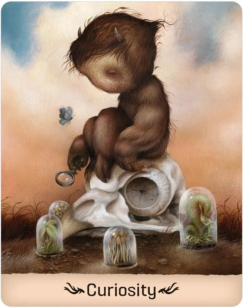 Gentle Creature Wisdom Oracle - Curiosity