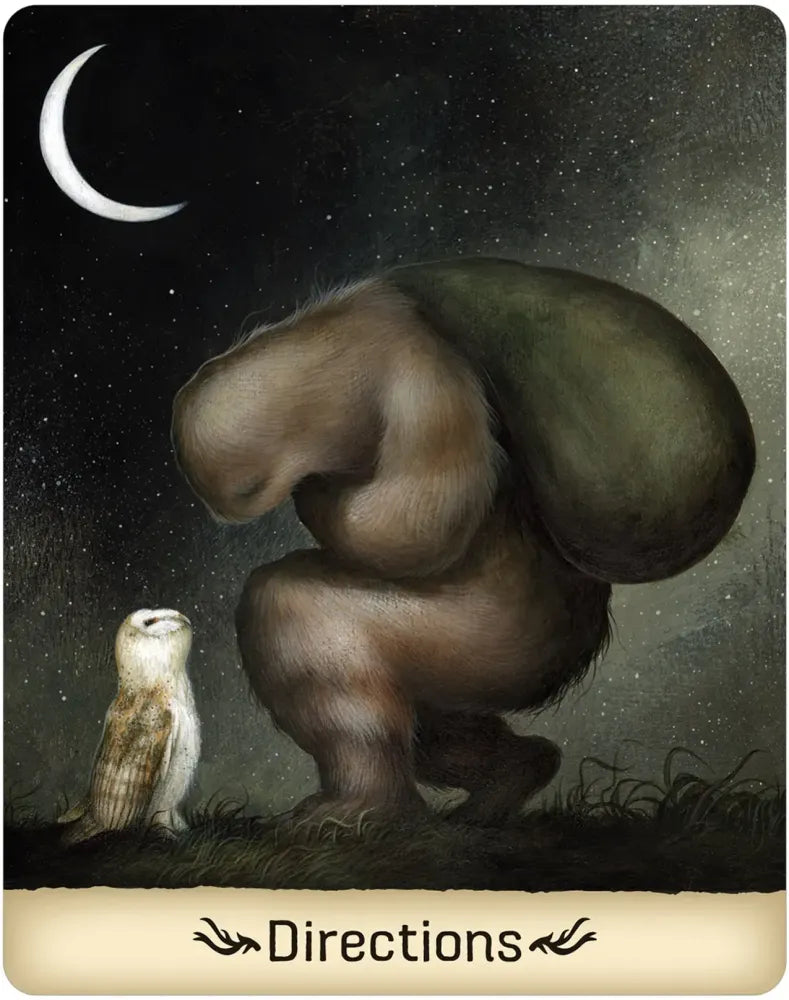 Gentle Creature Wisdom Oracle - Directions