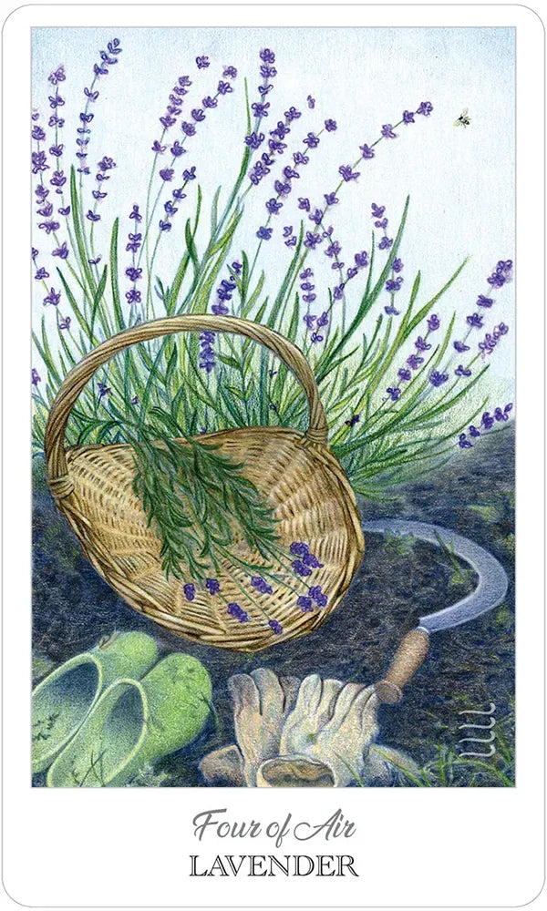 The Herbcrafter's Tarot - 4 of Air