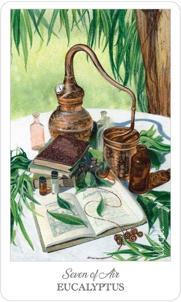 The Herbcrafter's Tarot - 7 of Air