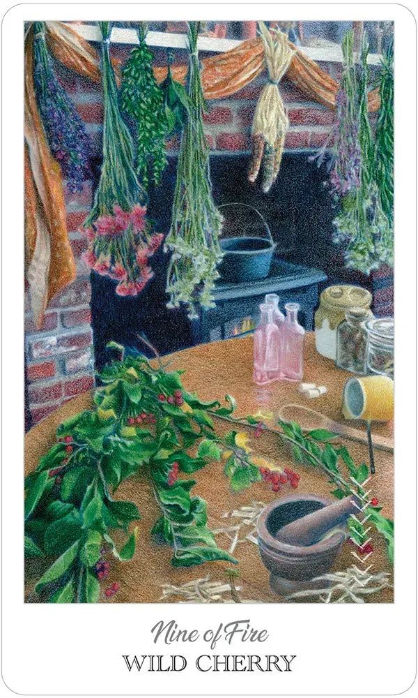 The Herbcrafter's Tarot - 9 of Fire