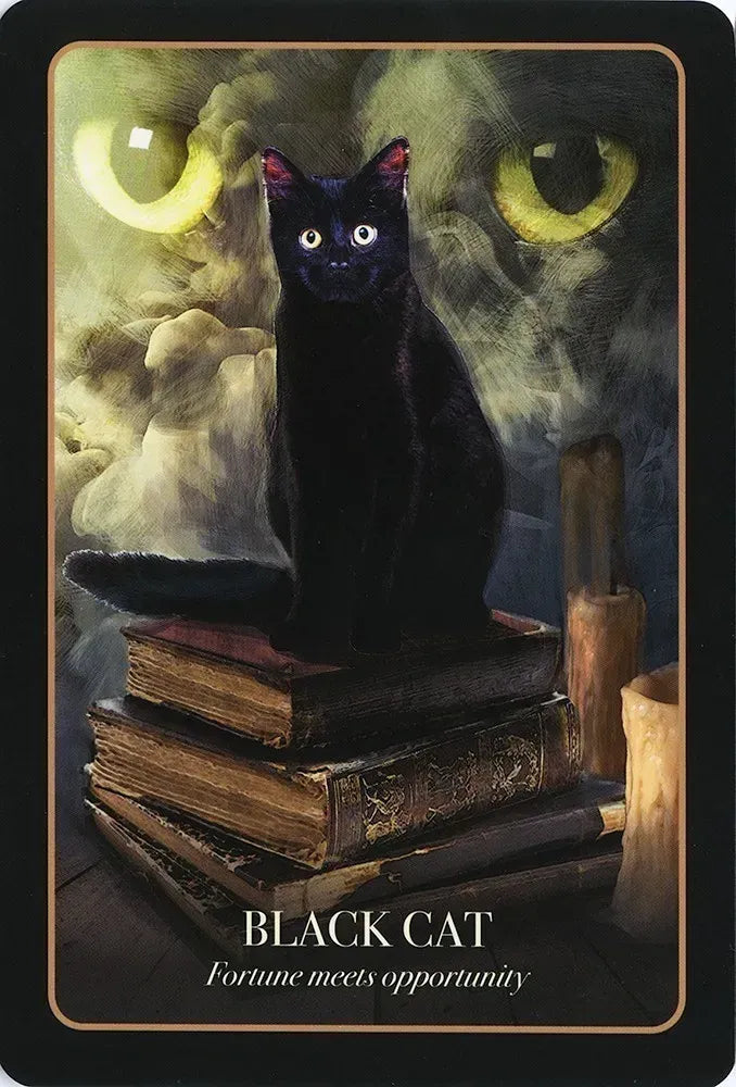 The Halloween Oracle Deck - Black Cat