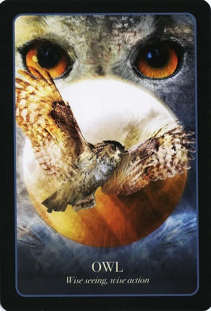 The Halloween Oracle Deck - Owl