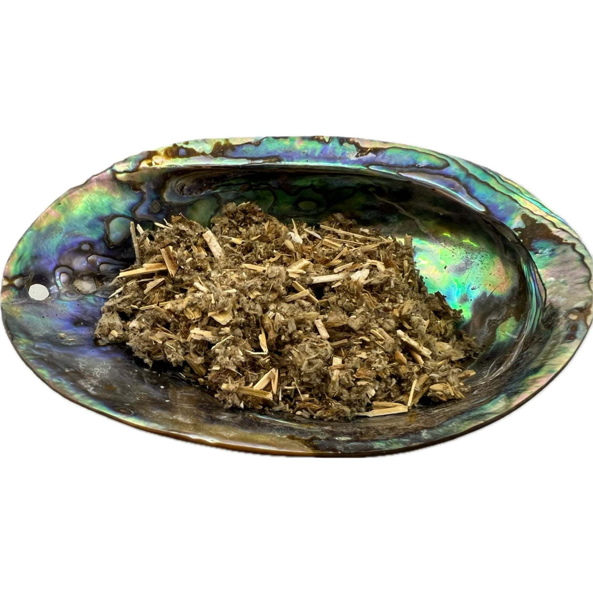 Dried Horehound in an abalone shell.