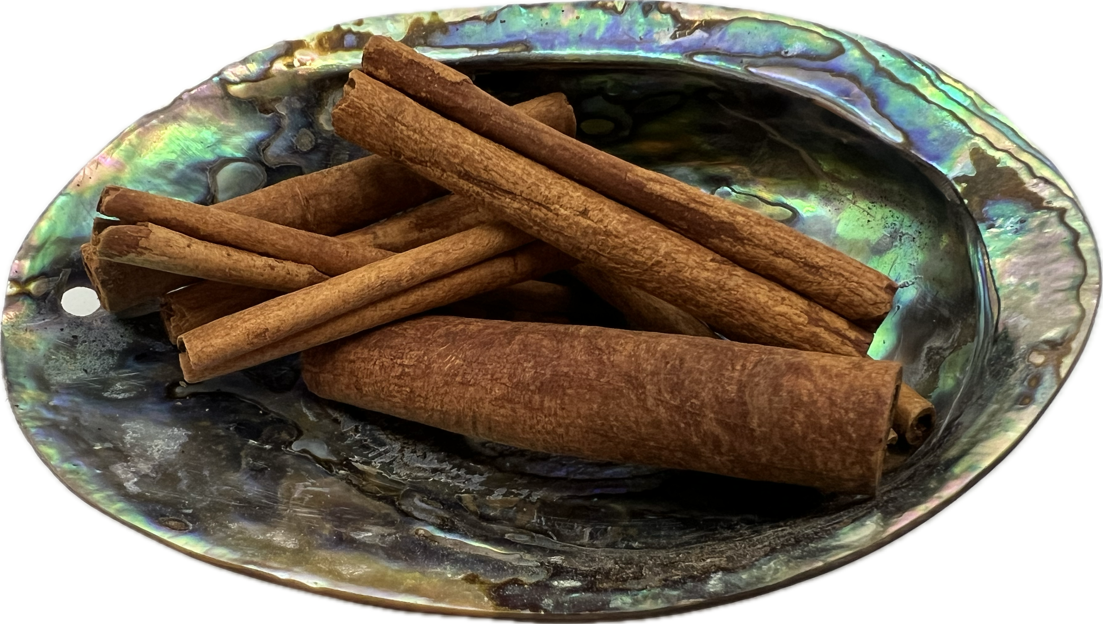 shell bowl filled with sticks of cinnamon 