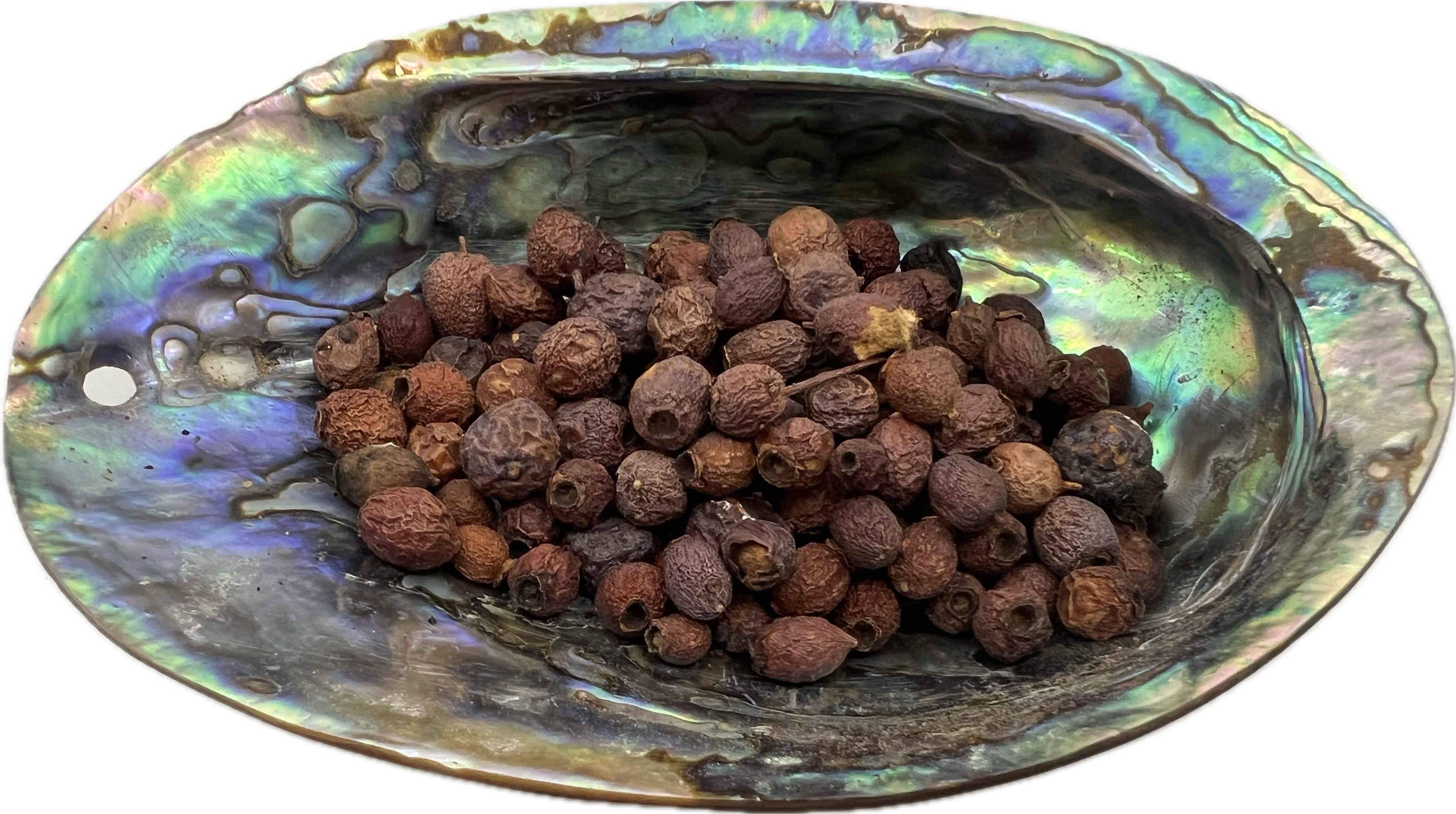 shell bowl filled with round dried berries