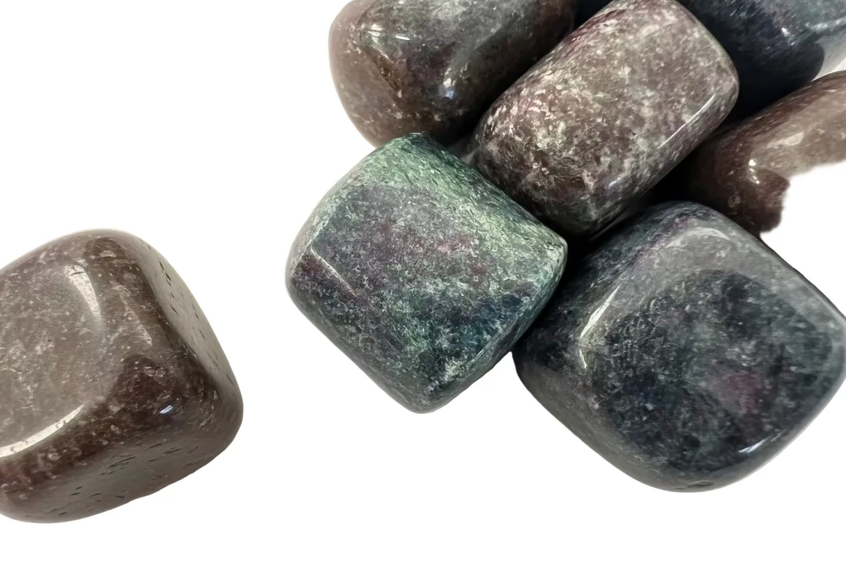 Ruby in Kyanite Tumbled