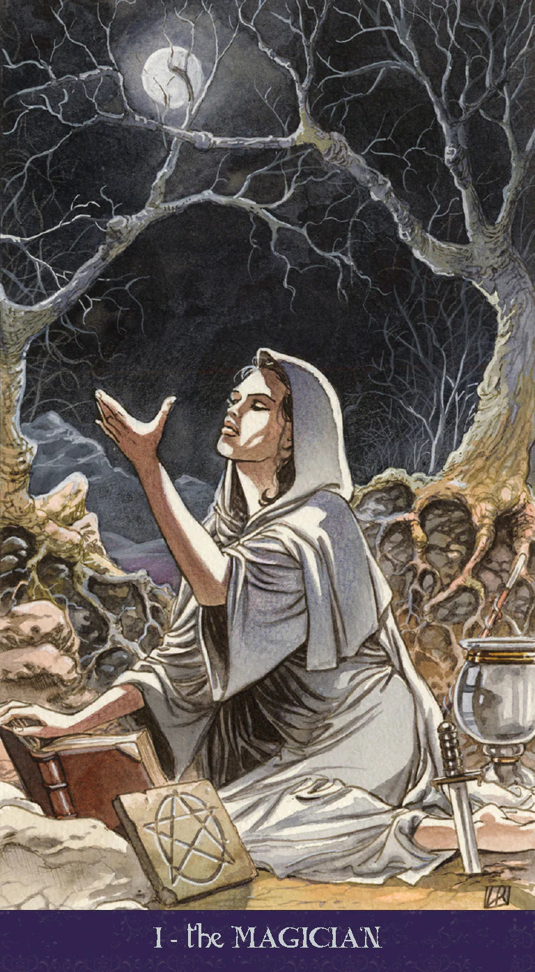 Pagan Tarot Deck Set