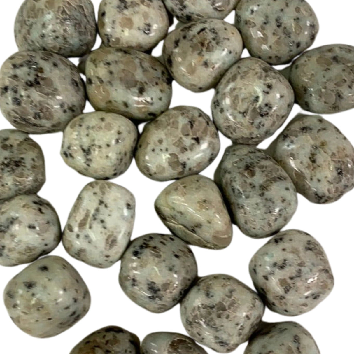 Kiwi Jasper Tumbled