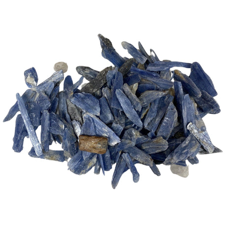 A cluster of small, raw Kyanite crystals with a vibrant blue color and a natural, rough texture. The crystals have a distinct elongated shape with sharp edges and smooth, polished surfaces.