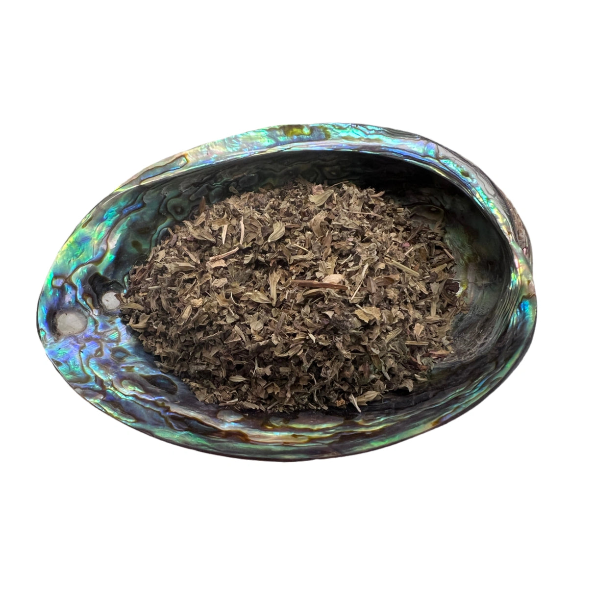 Dried Lemon Balm in an abalone shell.