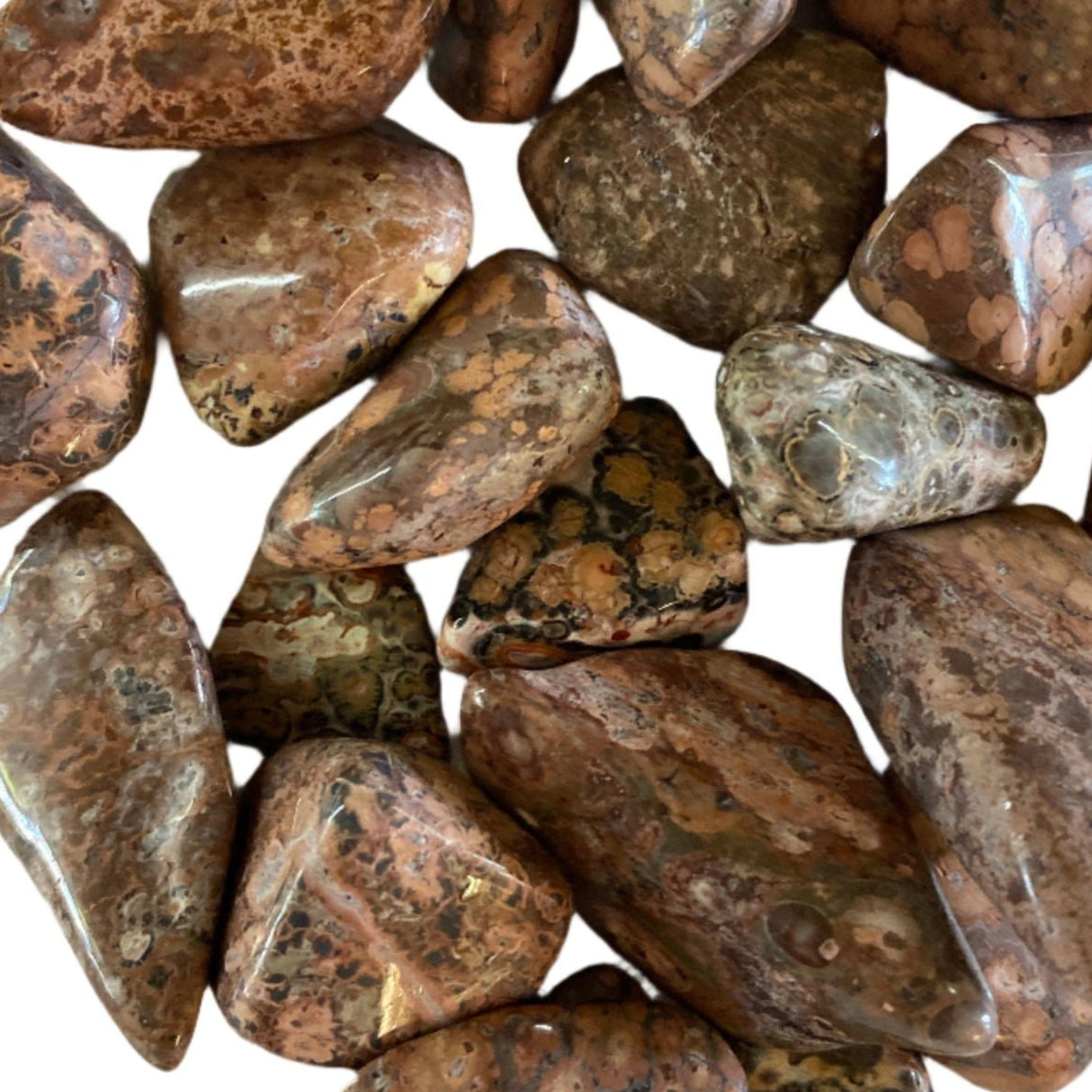 Leopardskin Jasper