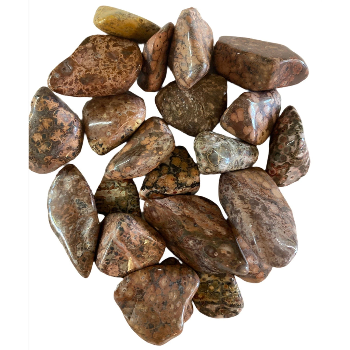 Leopardskin Jasper - A cluster of tumbled Leopardskin Jasper stones, showcasing a unique pattern of brown and gold spots resembling a leopard's coat. The stones have a smooth, polished finish and a variety of shapes and sizes.
