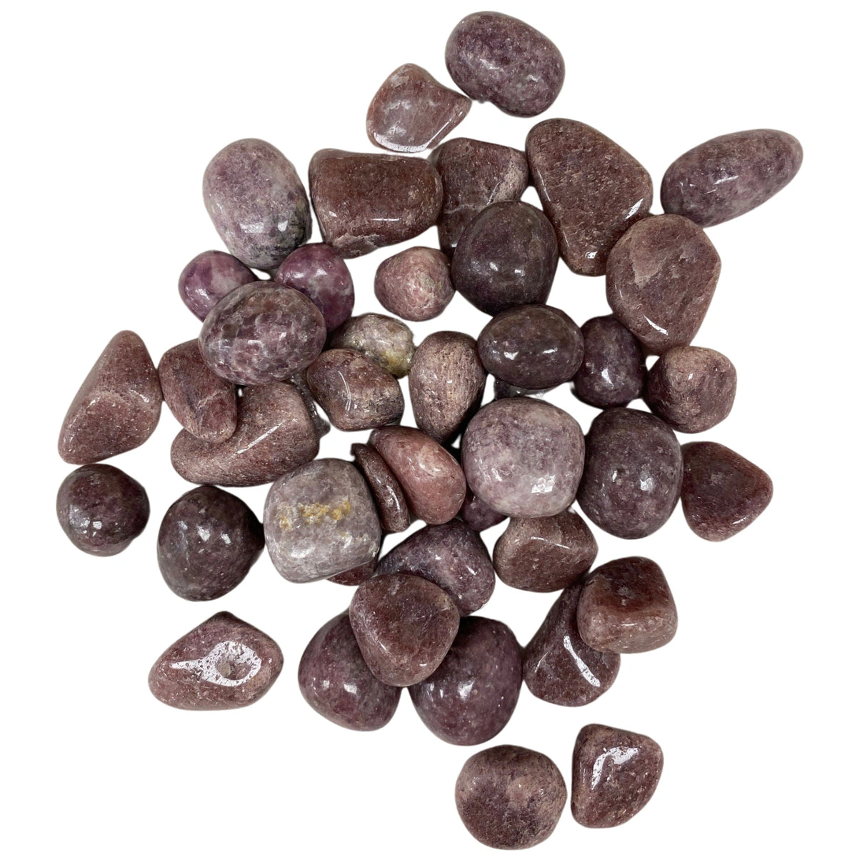 Lepidolite Tumbled - A collection of tumbled Lepidolite stones in various sizes and shapes. The stones exhibit a soft lilac or pinkish-purple color with subtle variations in shade and occasional mica inclusions. The surface is smooth and polished, with a gentle luster.