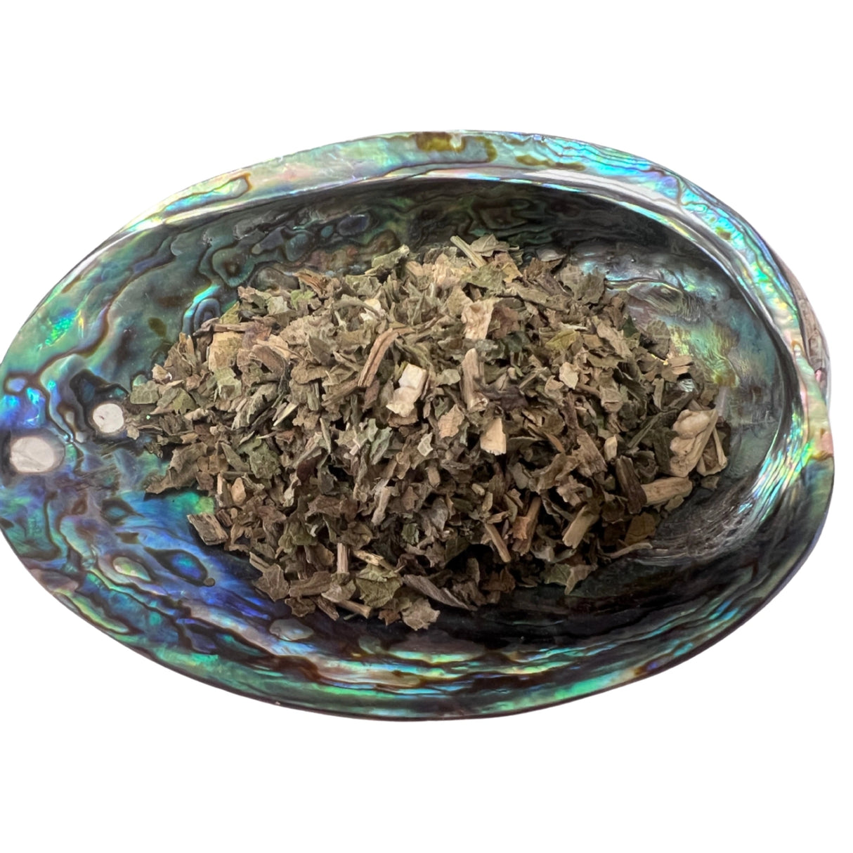 Dried Lobelia Leaf in an abalone shell.