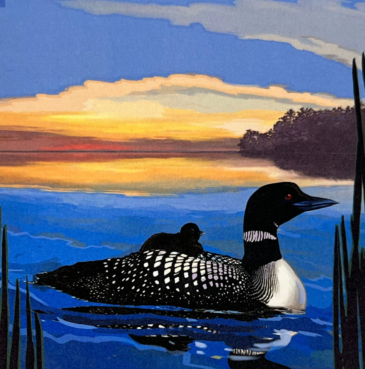 Loon Lake magnet with illustration of a loon swimming with its chick, sunset in the background.