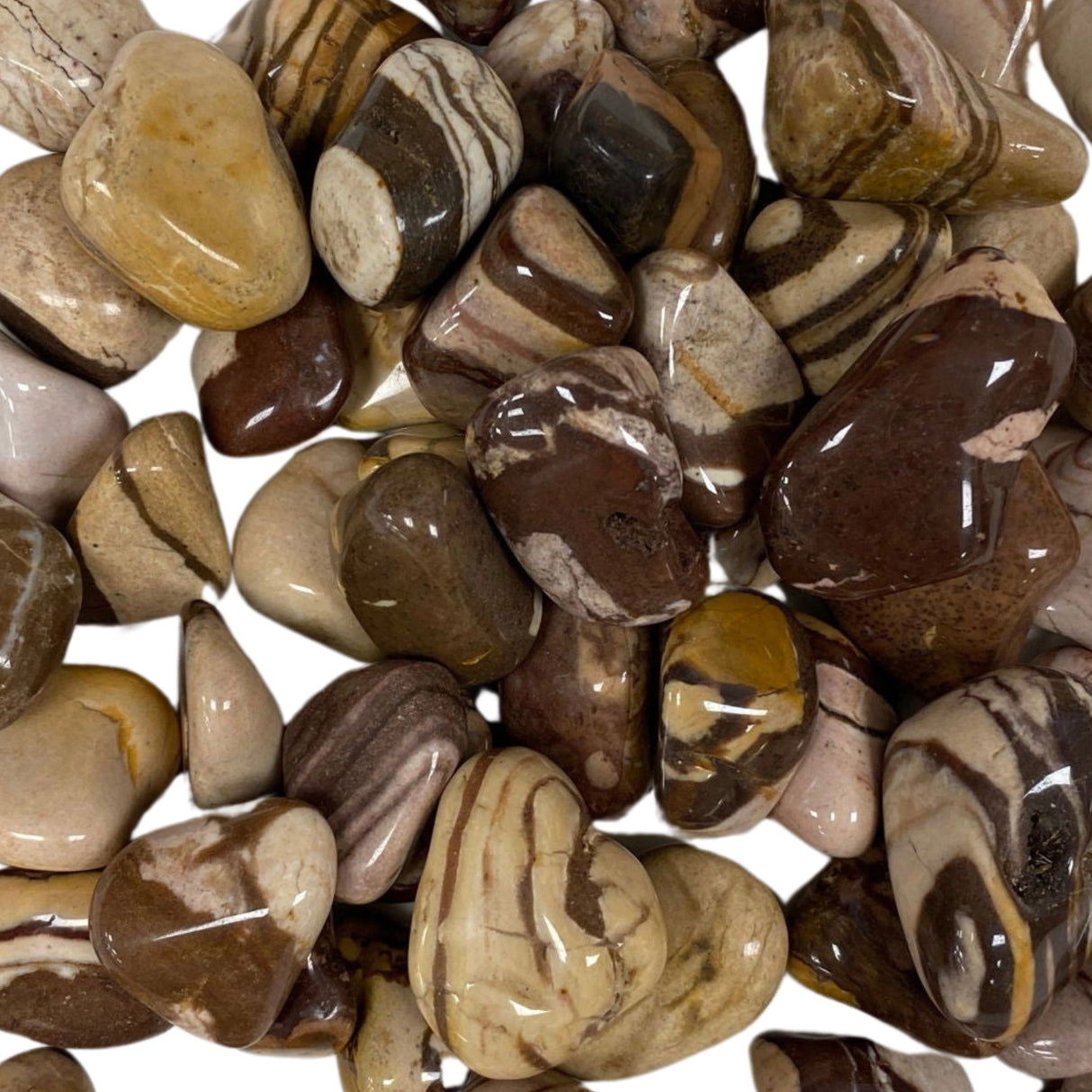 Marble Jasper Tumbled