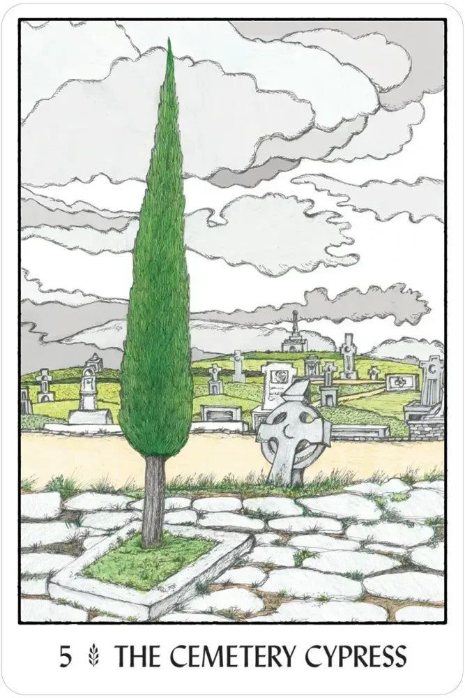 Oracle of the Trees - 5