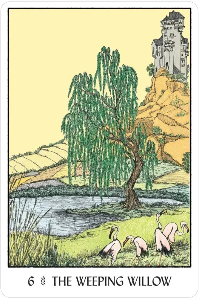 Oracle of the Trees - 6