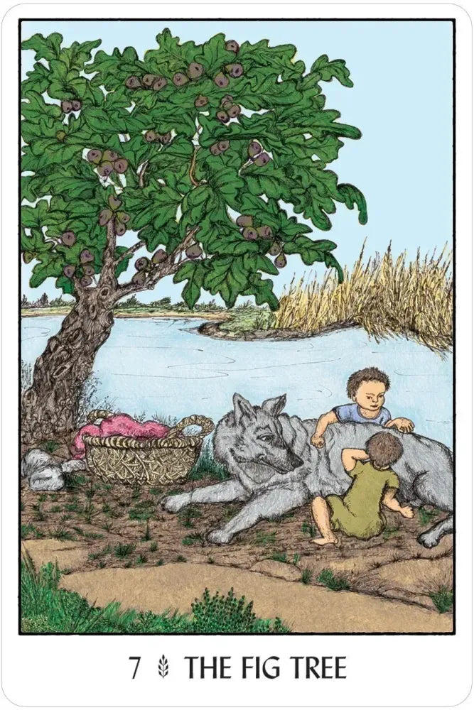 Oracle of the Trees - 7